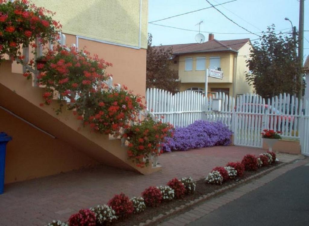 Sarkadi Apartman Hajduszoboszlo Ngoại thất bức ảnh